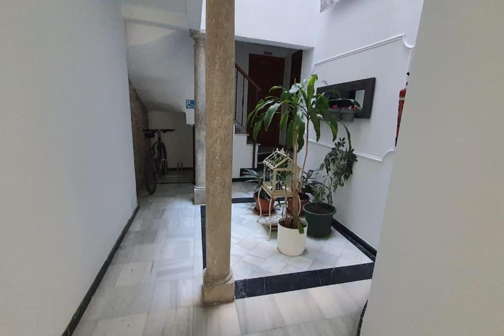 Apartamento Aloja T Elvira Granada Exterior foto